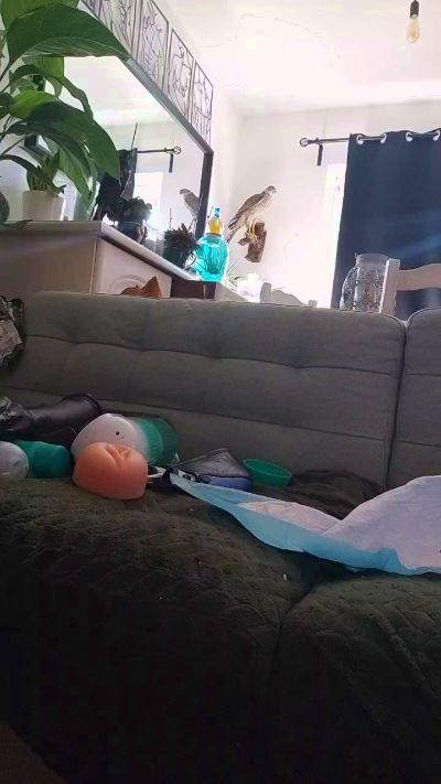 Chaudkoala live cam on Cam4