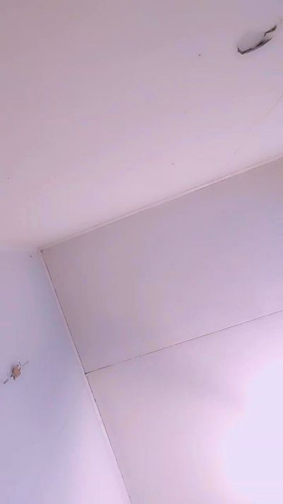 Chilenagolosa live cam on Cam4