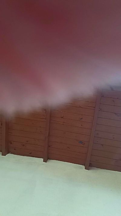 Chipicurvy live cam on Cam4