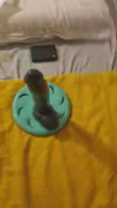 Chubbybiguy90 live cam on Cam4