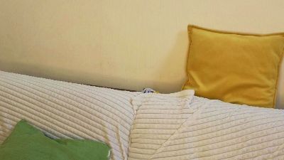 CicelySmeja live cam on Cam4