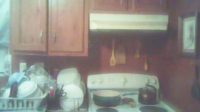 ClydeCan409 live cam on Cam4