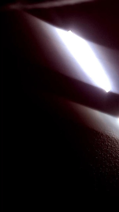ClydeCan409 live cam on Cam4