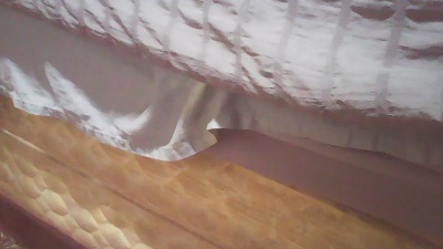 ClydeCan409 live cam on Cam4