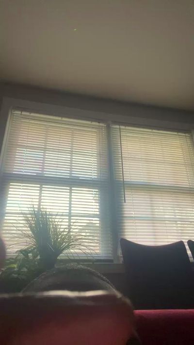 Profile and Statistics for Cockdaddy23 on Cam4