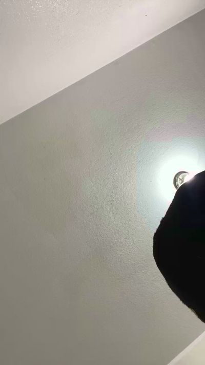 CodingNinja1 live cam on Cam4
