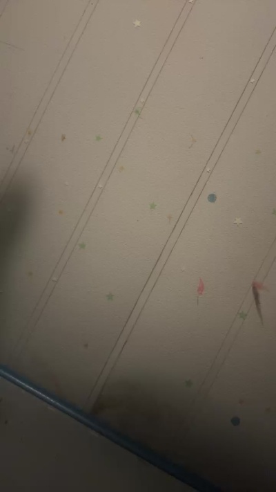 Comeplaywithme8 live female webcam from United States