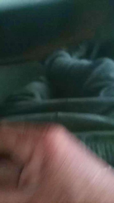 Conecasal live cam on Cam4