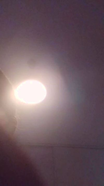 Couplebibdx live cam on Cam4