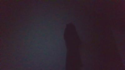 CreamyAdvisor live cam on Cam4