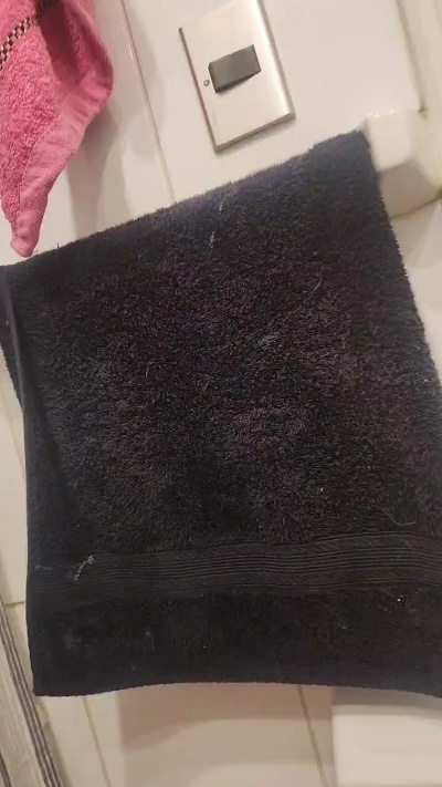 Cumbialas
