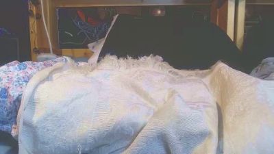 CuriousDD69 live cam on Cam4