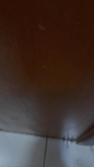 Curitibacent live cam on Cam4
