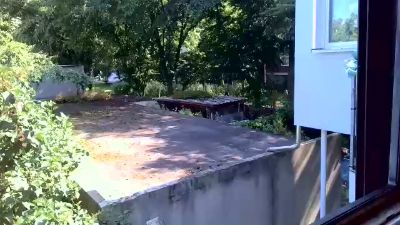 DAUERWICHSERX live cam on Cam4