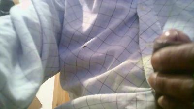 DAVIDJAZZZZ live cam on Cam4