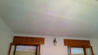 DOBERMANNEW live cam on Cam4