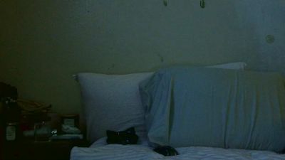 Da1NonlyMrLTP live cam on Cam4