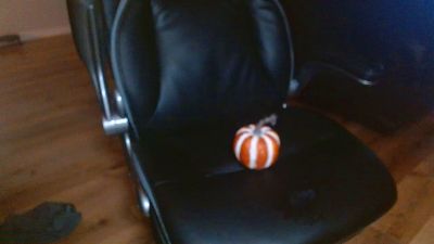 Daddy_Dick80 live cam on Cam4