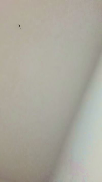 Daddyslut4u live cam on Cam4