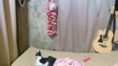 Dailylush live cam on Cam4