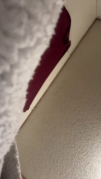 Живая веб-камера Daisytoes, женщина, страна Соединённые Штаты