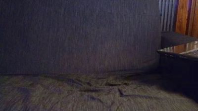 Dalilastar live cam on Cam4