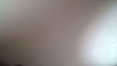 DallasAndBeau live cam on Cam4