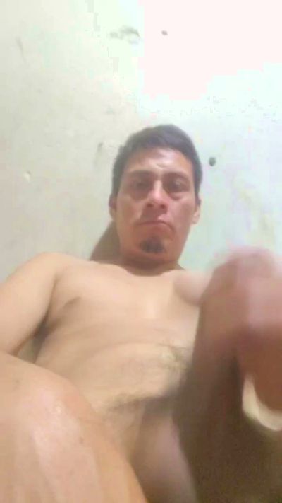 Dalmiert live cam on Cam4
