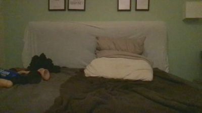 Dalome Live Cam and Statistics on UnifiedCams