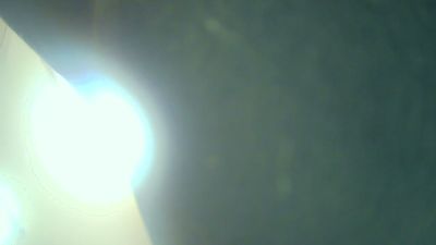 Daltonichot live cam on Cam4