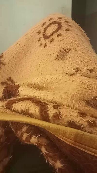DanSP9090 live cam on Cam4