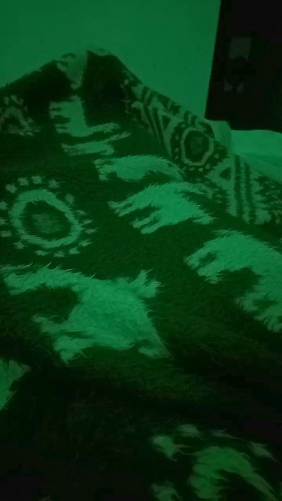 DanSP9090 live cam on Cam4