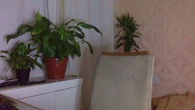 DanWolfMan live cam on Cam4