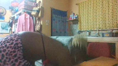 Dance254 live cam on Cam4
