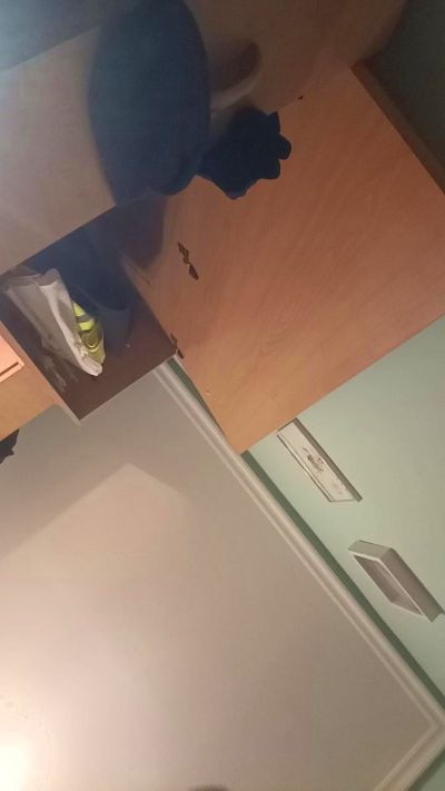 Daniellezama männlich-Webcam live aus Spanien