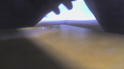 Danskbibamse live cam on Cam4
