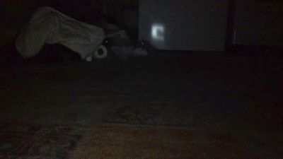 Davepopov live cam on Cam4