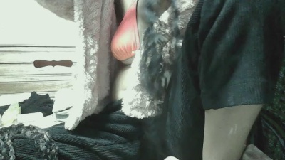 Davi0207 live cam on Cam4
