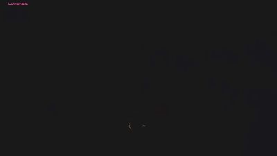 Deepstatement live cam on Cam4
