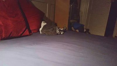 Deepstatement live cam on Cam4