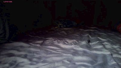 Deepstatement live cam on Cam4