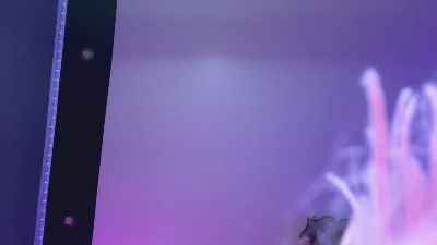 DeliaMarcin live cam on Cam4
