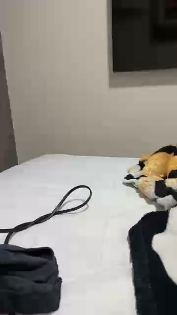 Demolidor77 live cam on Cam4