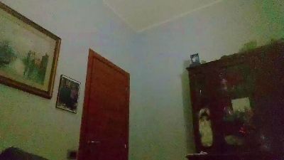 Denny1982 live cam on Cam4