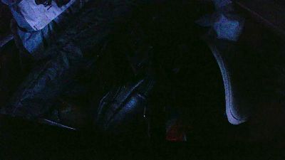 Desterrado_soy live cam on Cam4