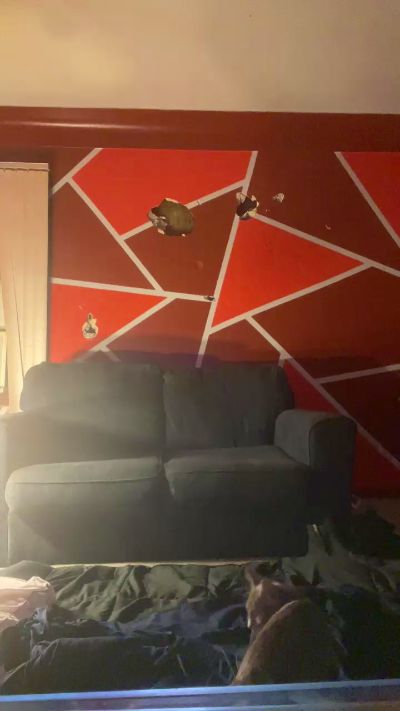 DestineyBoo22