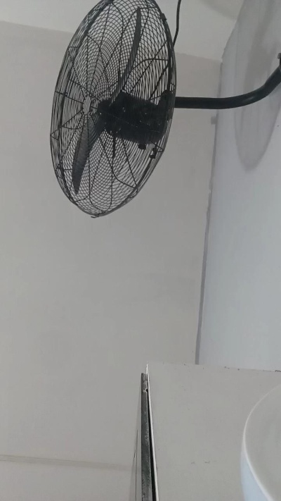 Deysi8 live cam on Cam4