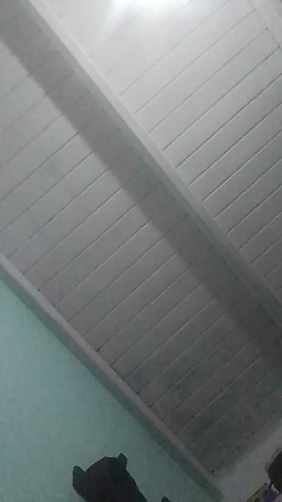Deysi8 live cam on Cam4