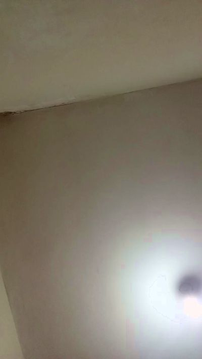 Deysi8 live cam on Cam4