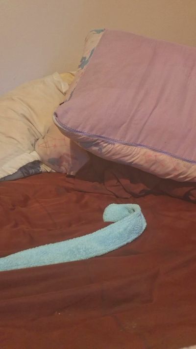 Dickphatie live cam on Cam4